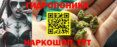 сатива Ливны