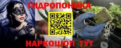 ПСИЛОЦИБИНОВЫЕ ГРИБЫ Лесосибирск