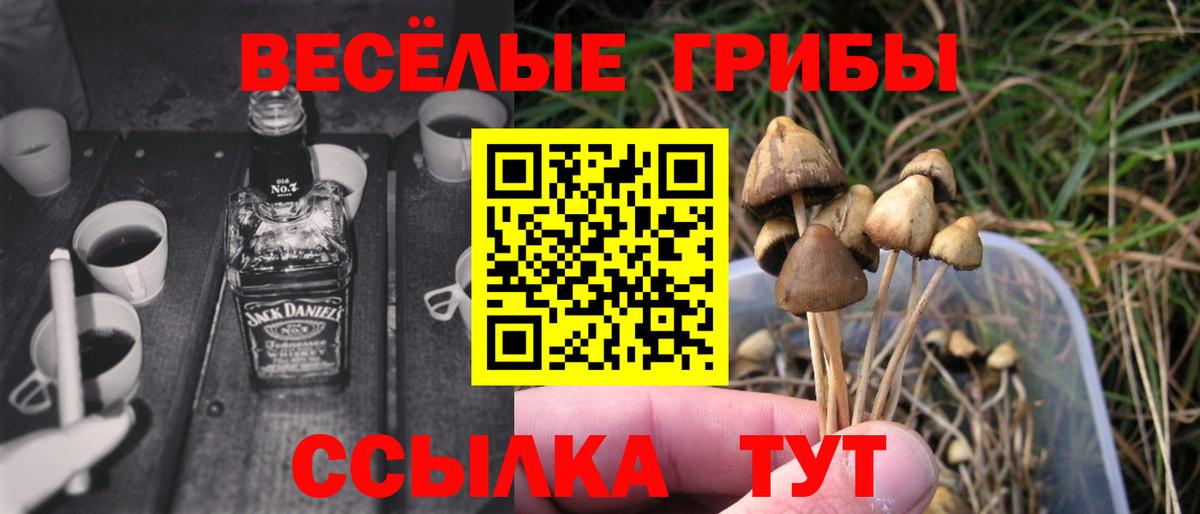 Галлюциногенные грибы мухоморы  Псилоцибиновые грибы Psilocybine cubensis  Соликамск  Вход с VPN 